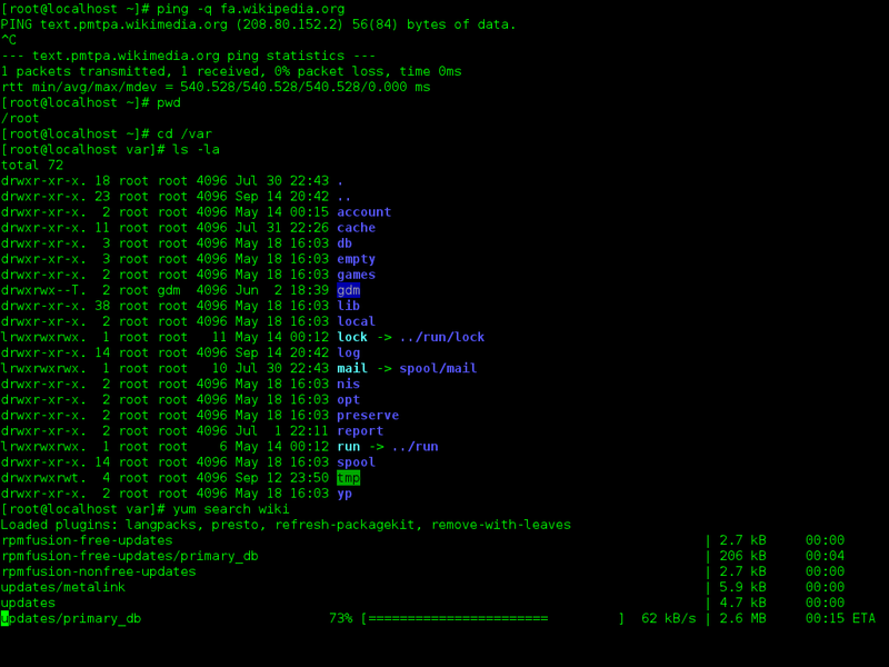 Screenshot of a Linux terminal