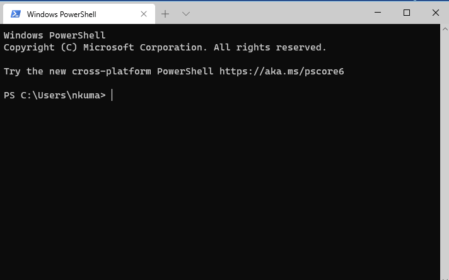 Screenshot of a Windows terminal